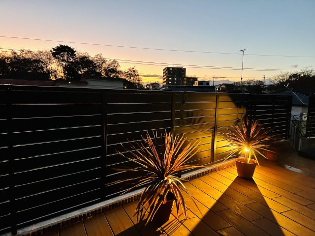 機能性×美しさを両立する”ボーダレス設計”の極意