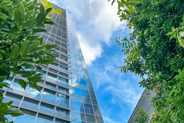 「緑視率10〜15%」の科学。なぜ緑で集中力が高まるのか？