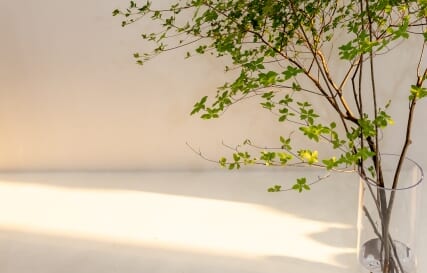 「ただ置く緑」と「戦略的に配置された緑」の決定的な違い